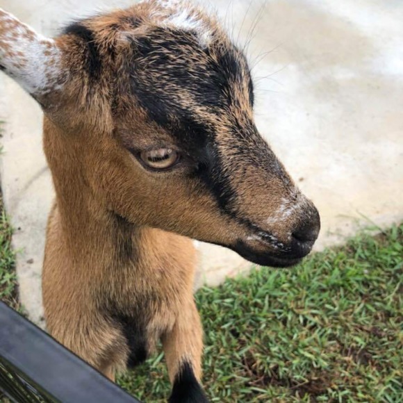 Meet your Posher, Wendy - Picture 1 of 1